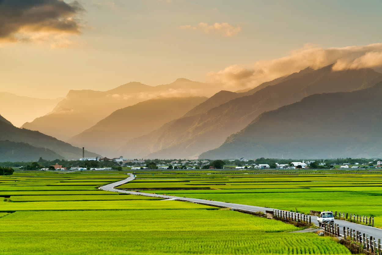 taiwan cilamitay