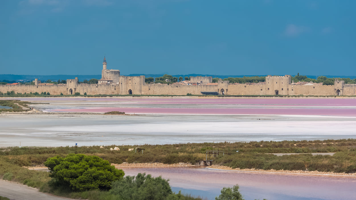 Aigues-Mortes Door Pascale Gueret2